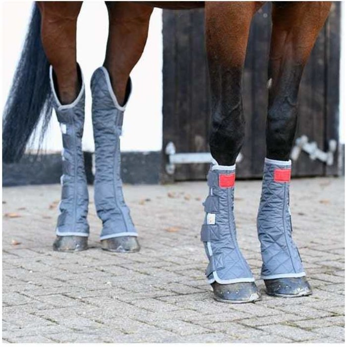 Equilibrium Therapy Hind & Hock Magnetic Chaps